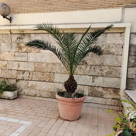 A Casa Di Francesca, Nuovo Bilocale Zona Balduina. 아파트 *